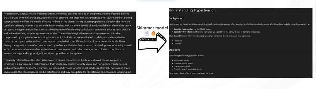 Skimmer NLP